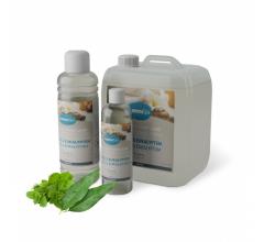 MENTOL S EUKALYPTEM 5l